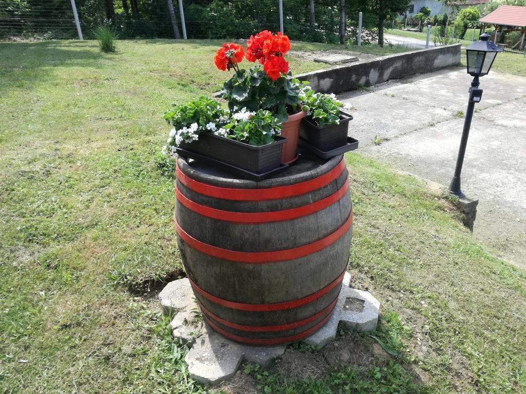 Panorama Vendeghaz Hotel Vasvár Exterior foto